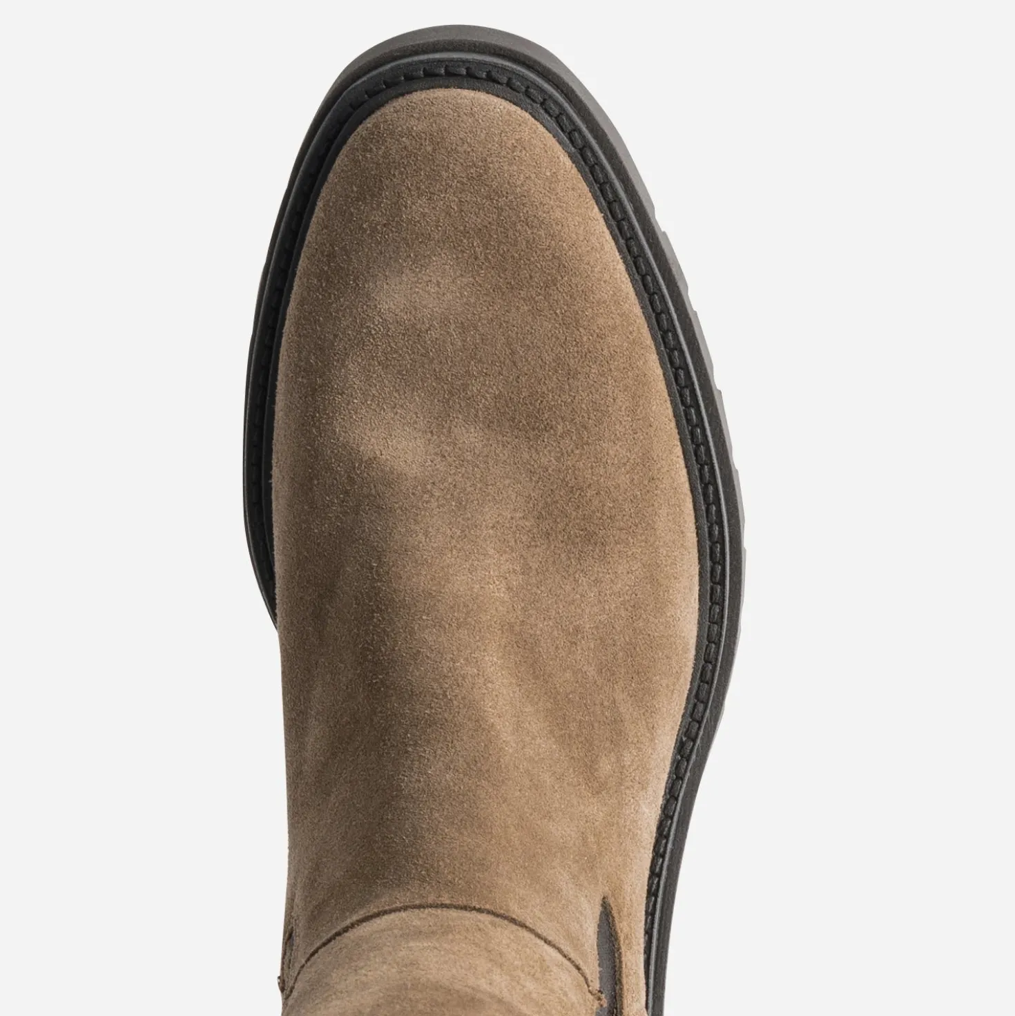 Botte TEXTO taupe cuir avec élastiques côtés