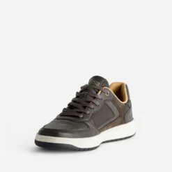 Tennis marron